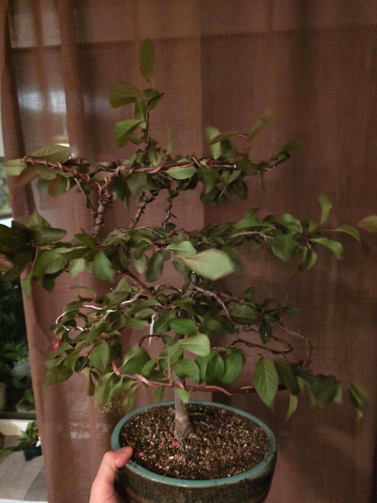 Photo 19