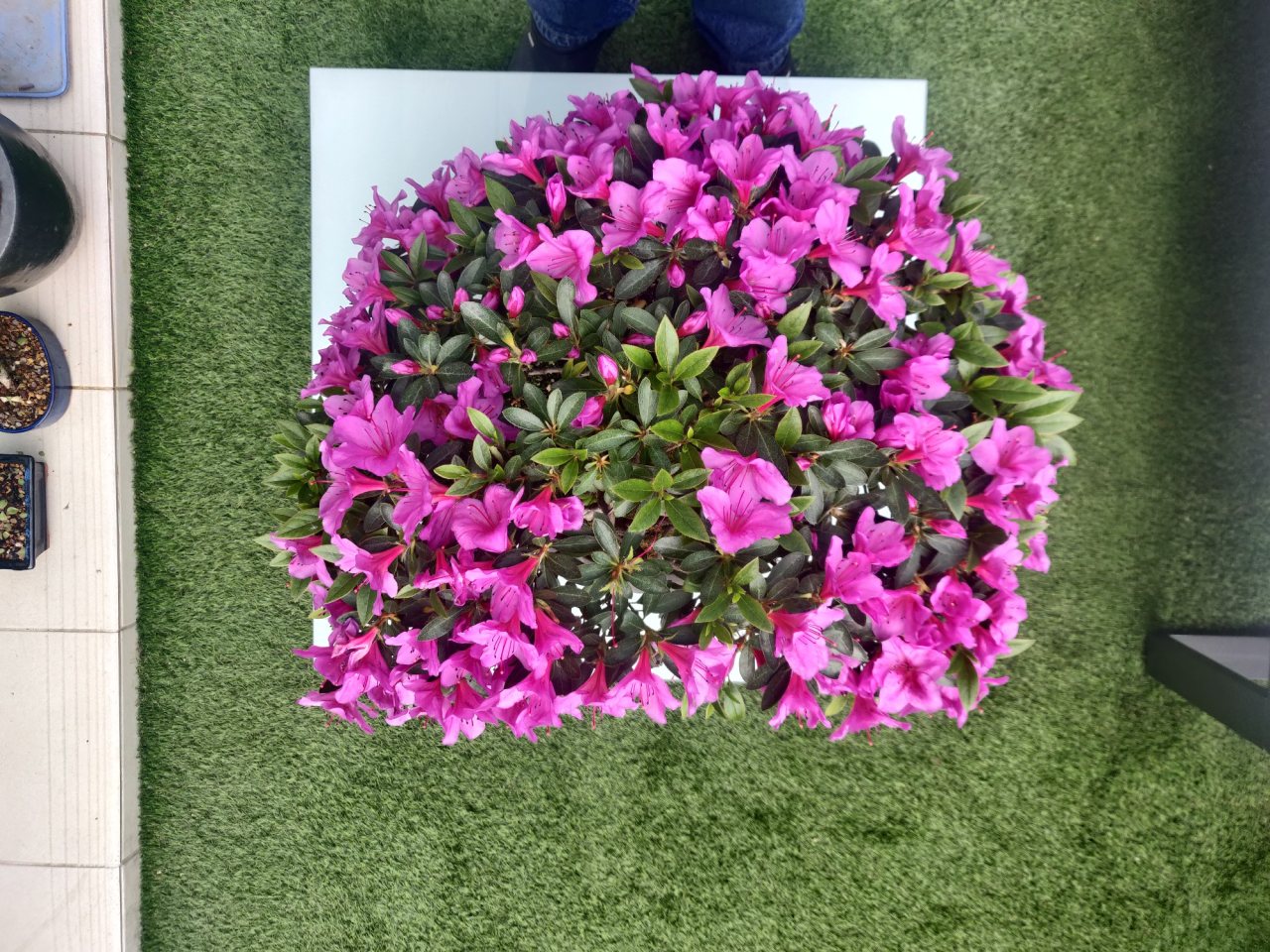 Photo 21