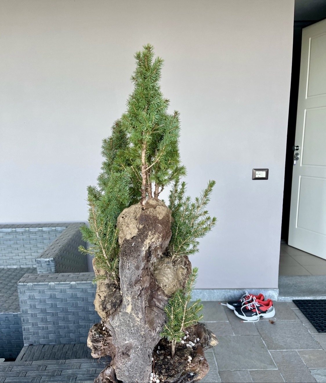 Photo 23