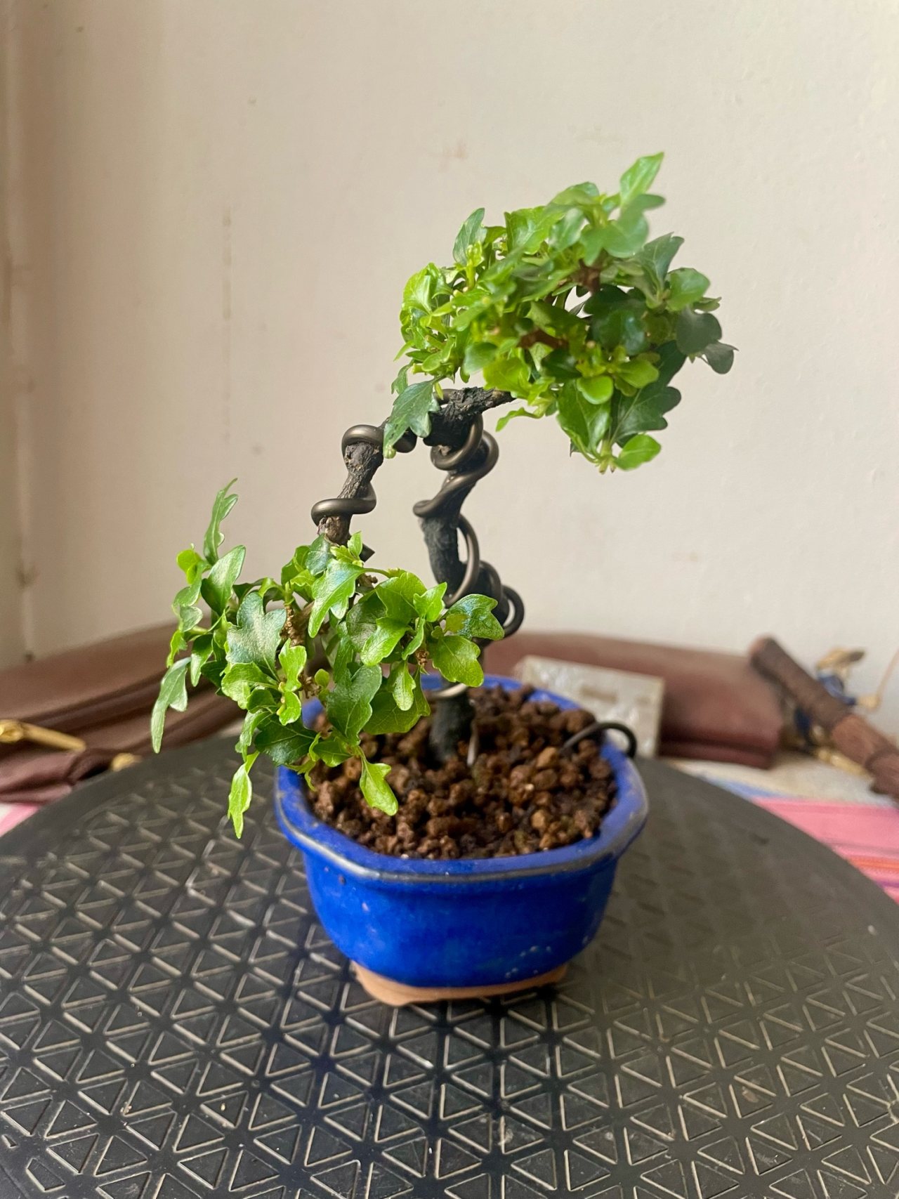 Photo 19
