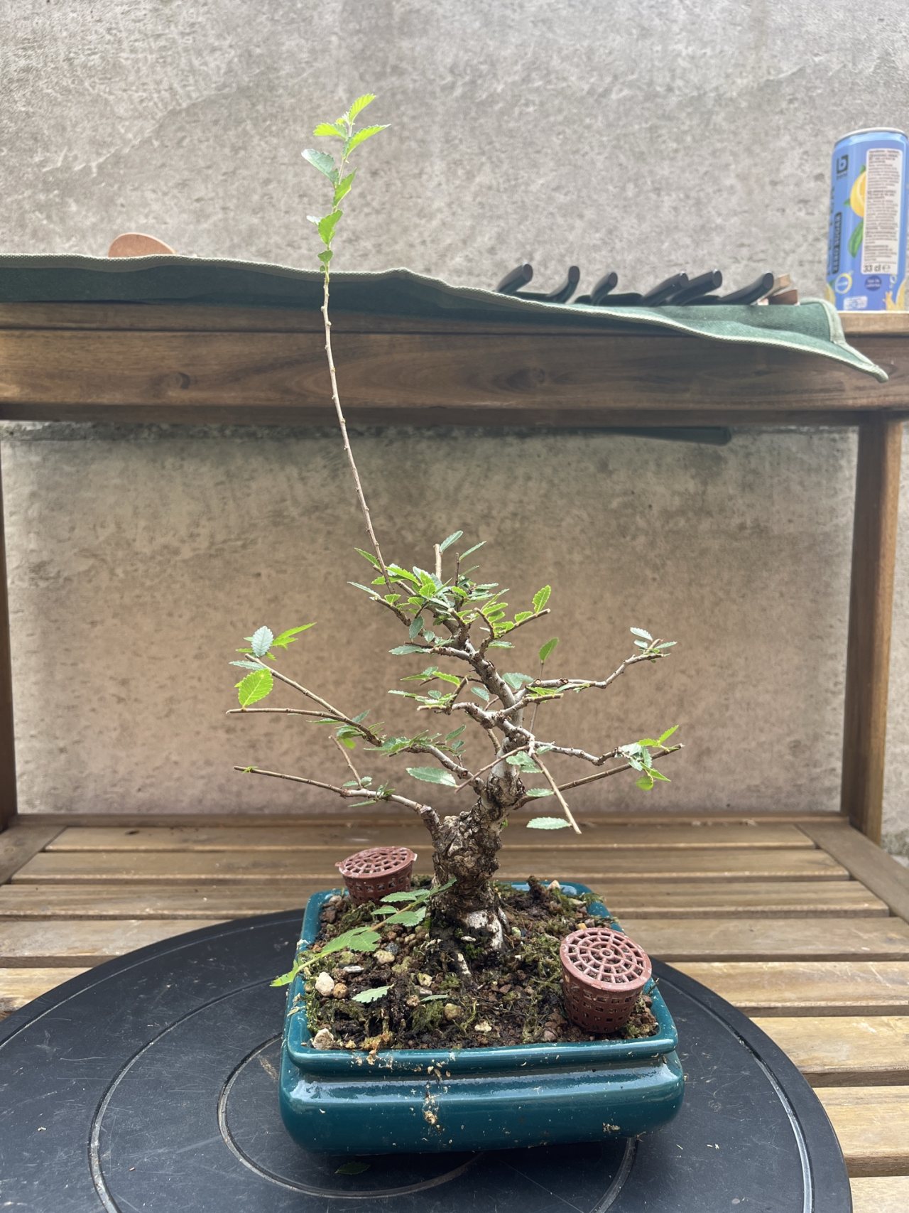 Photo 18
