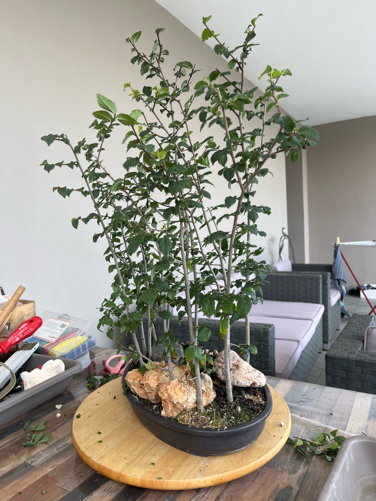 Photo 19