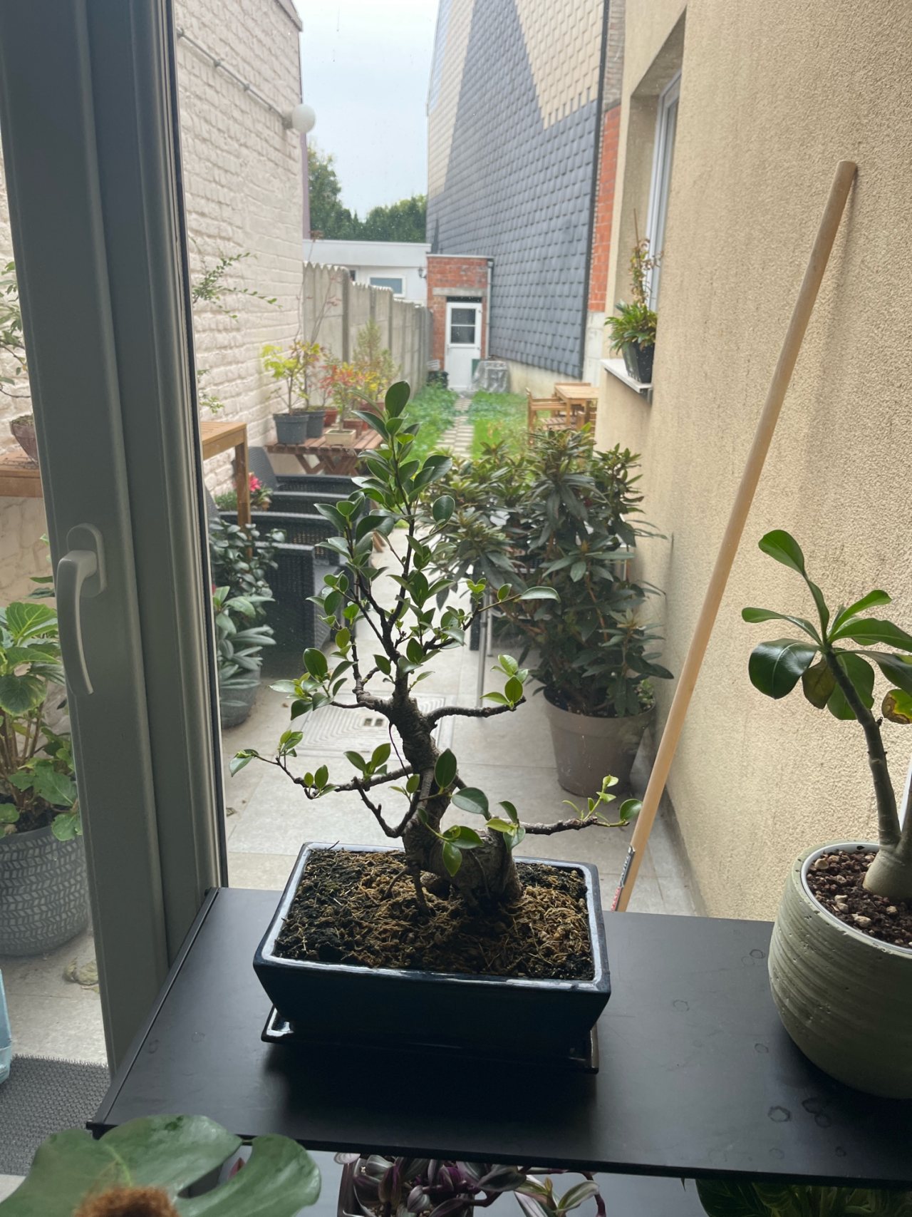 Photo 23
