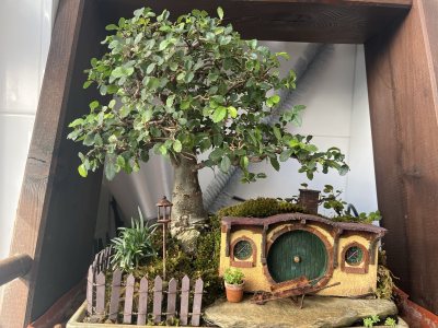 casa hobbit