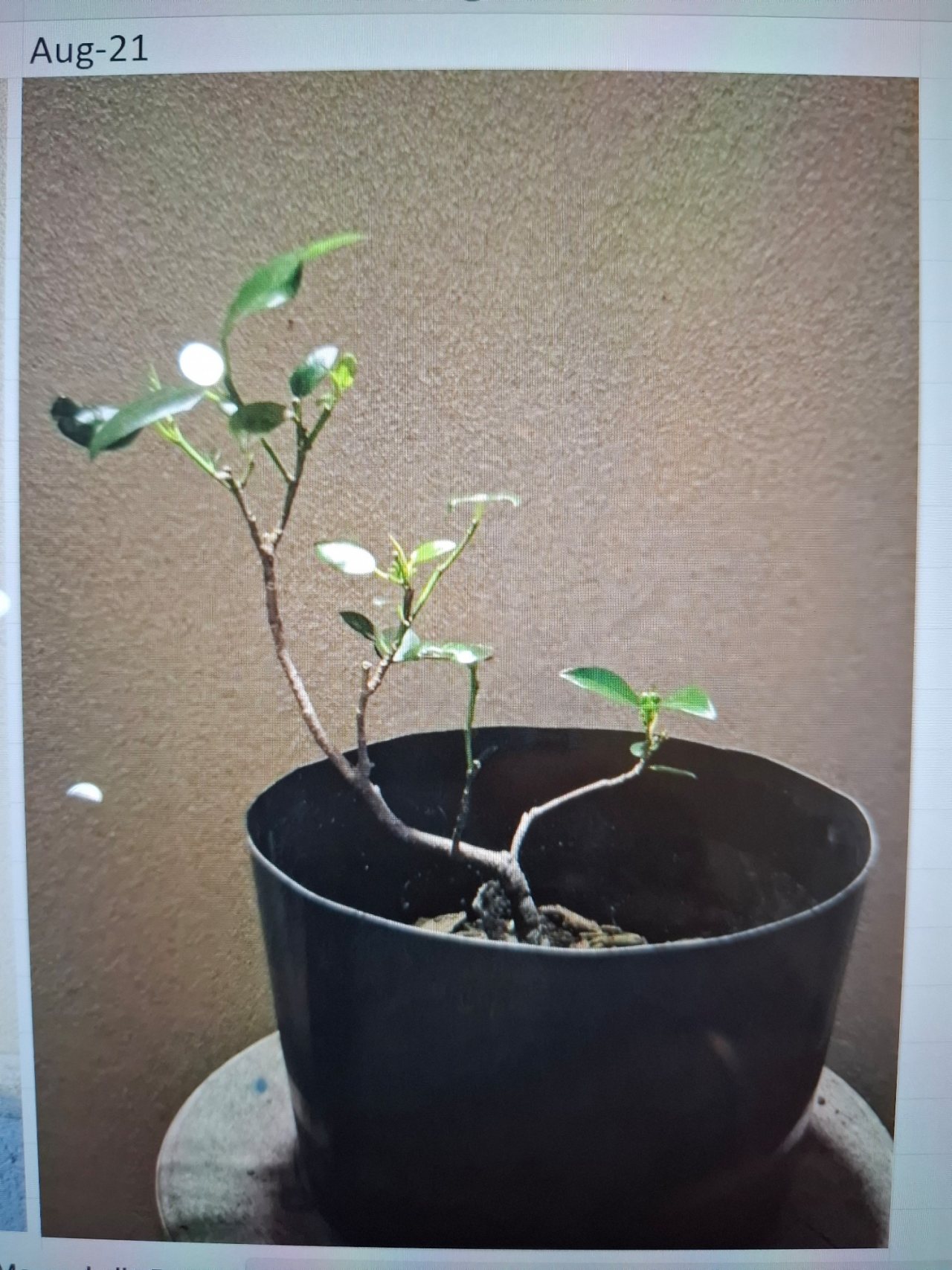 Photo 3
