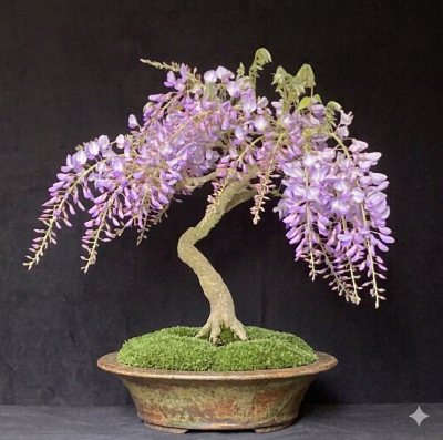 Glycine