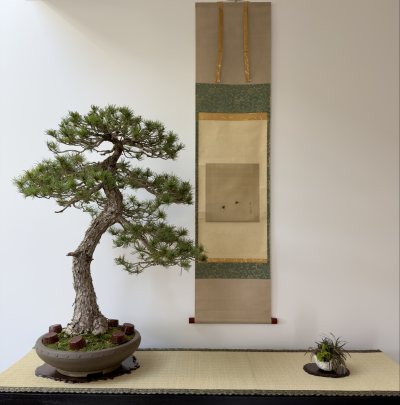 Goyomatsu 40 ans