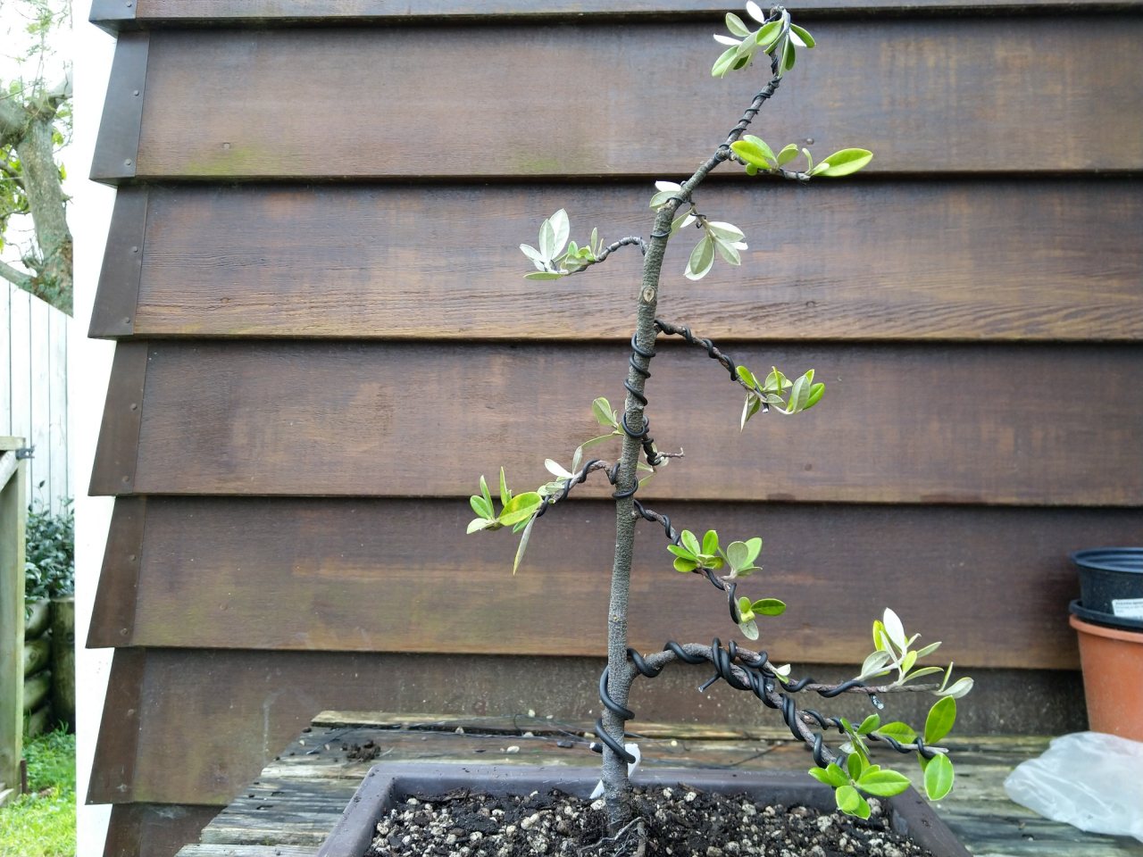 Photo 4