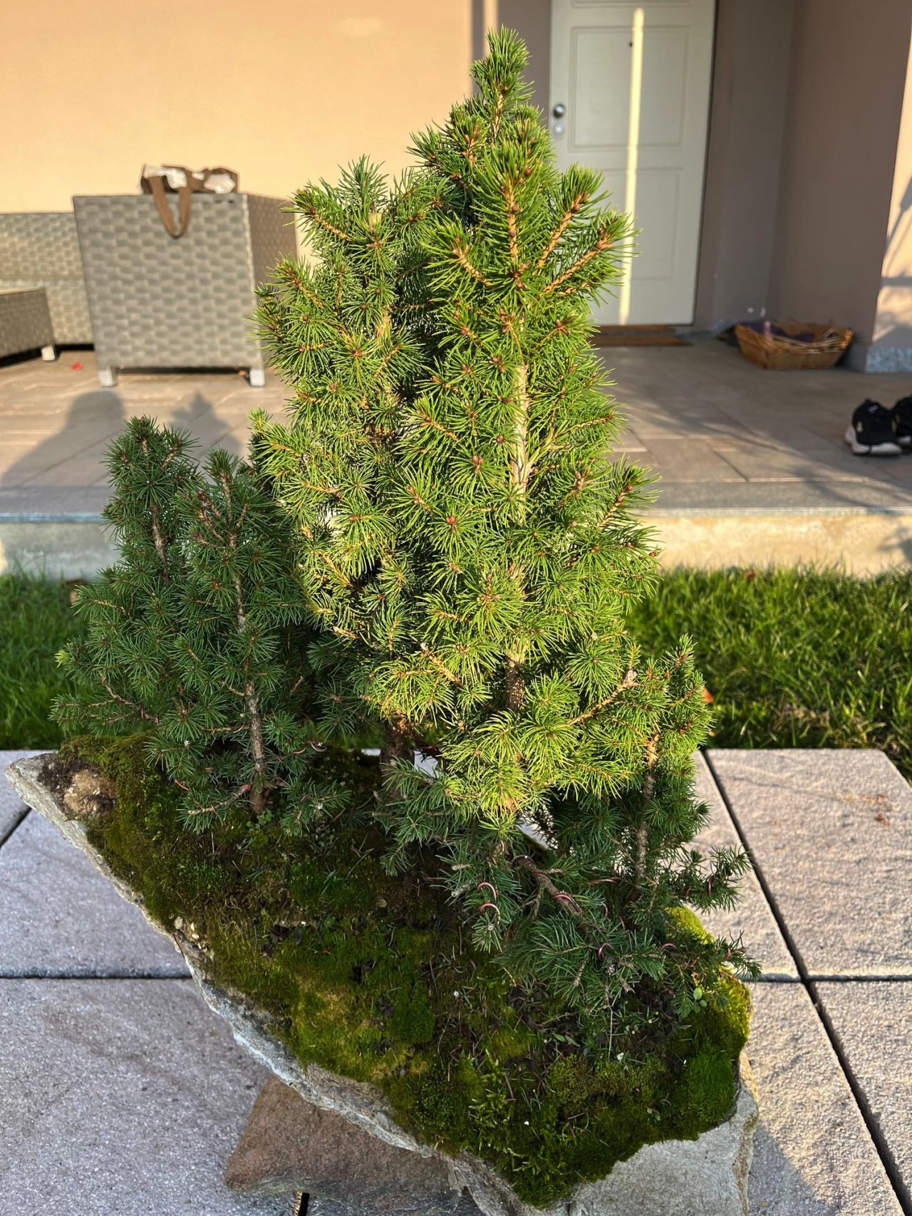 Photo 21
