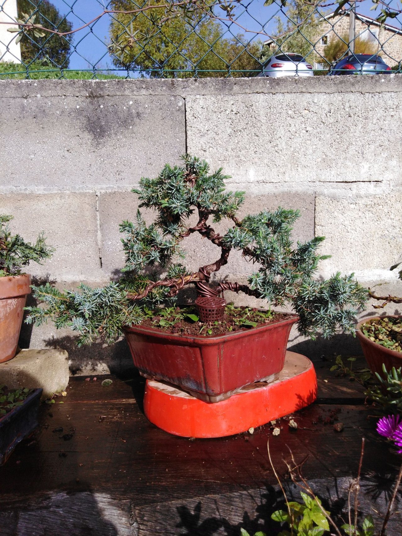 Photo 2