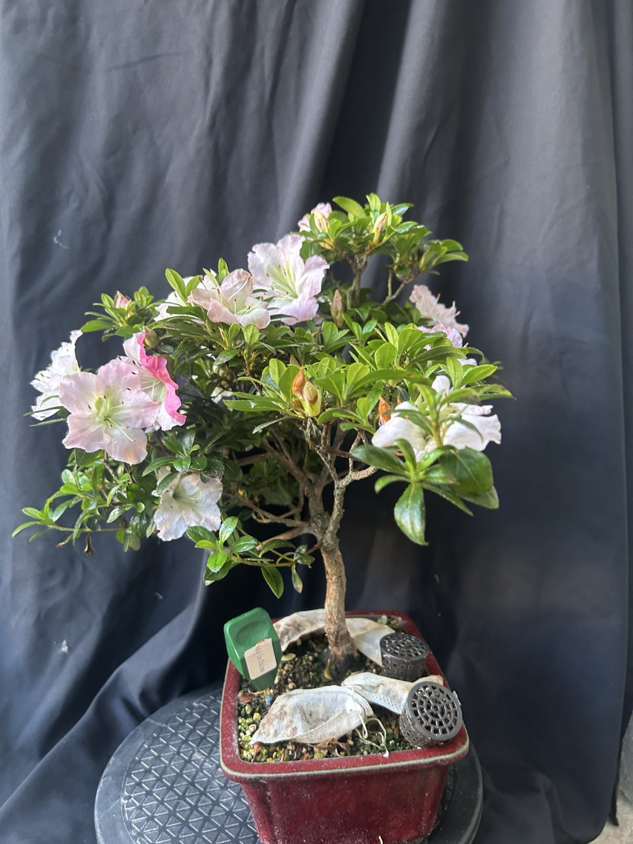 Photo 18