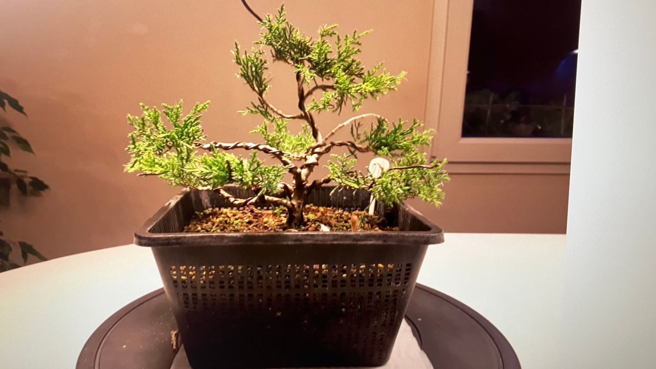 Photo 6
