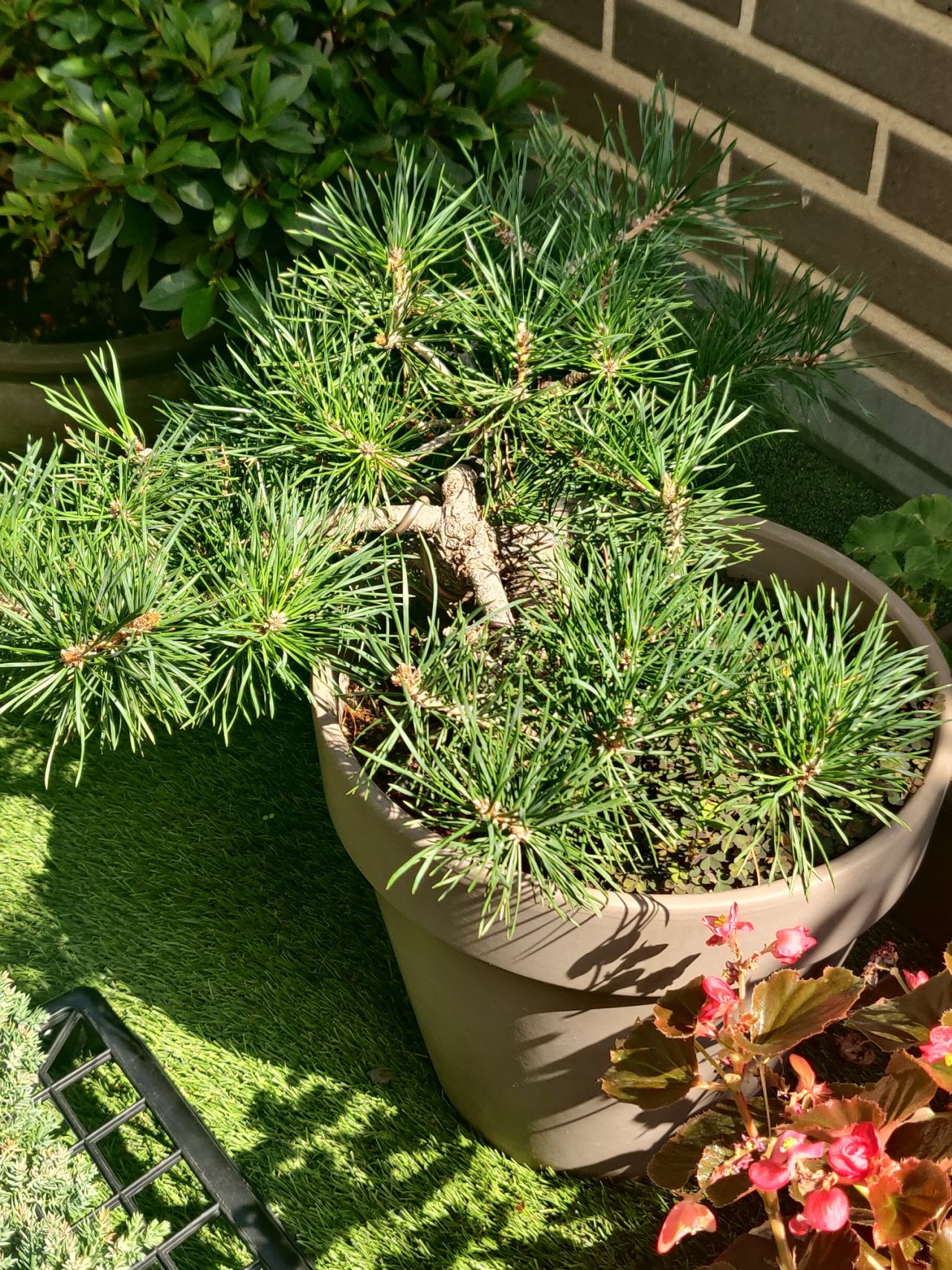 Photo 16