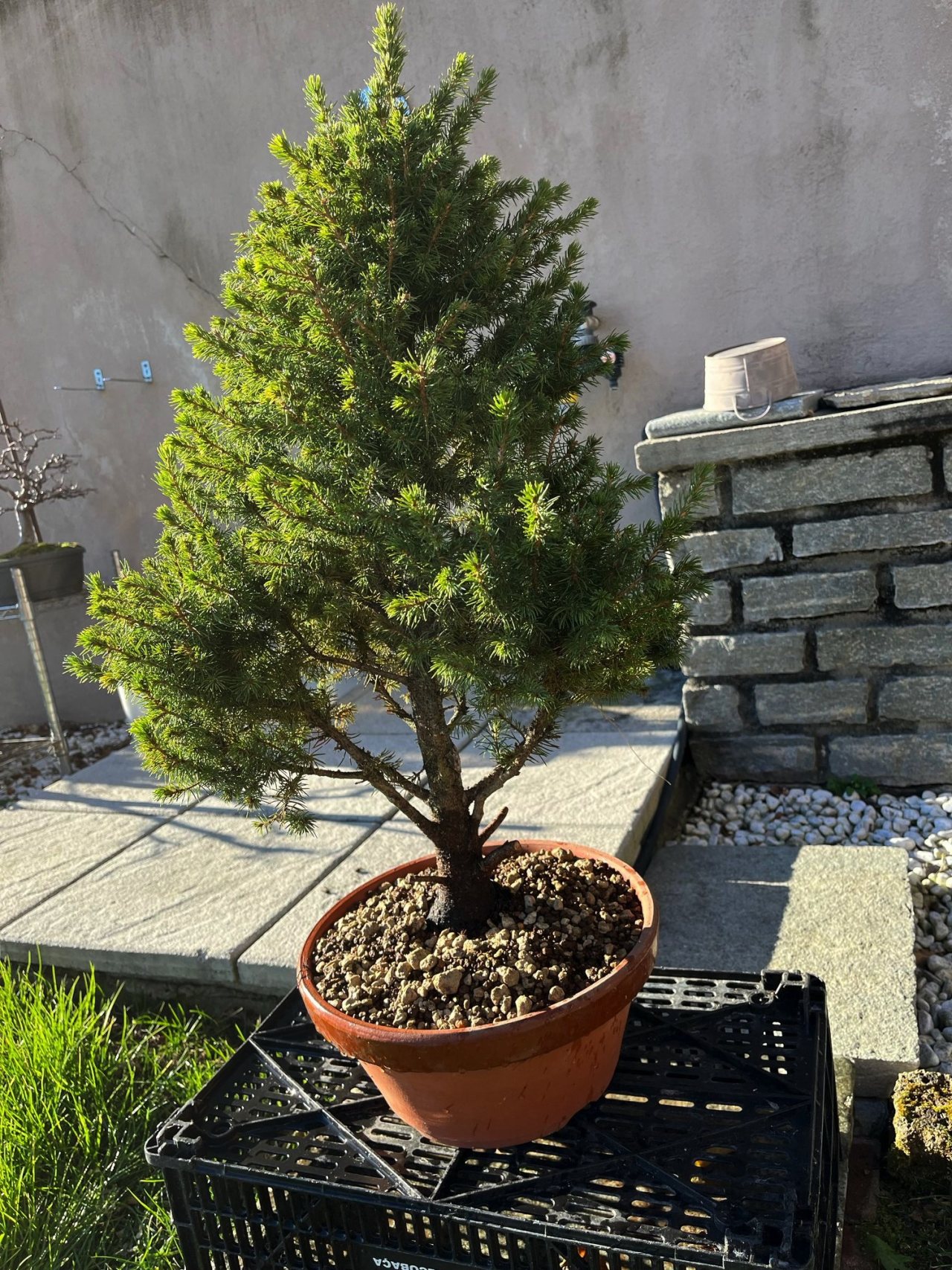Photo 13