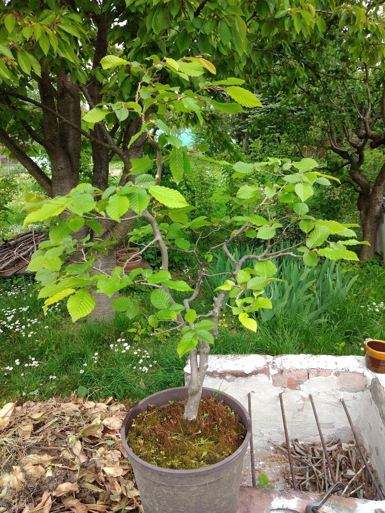 Photo 7