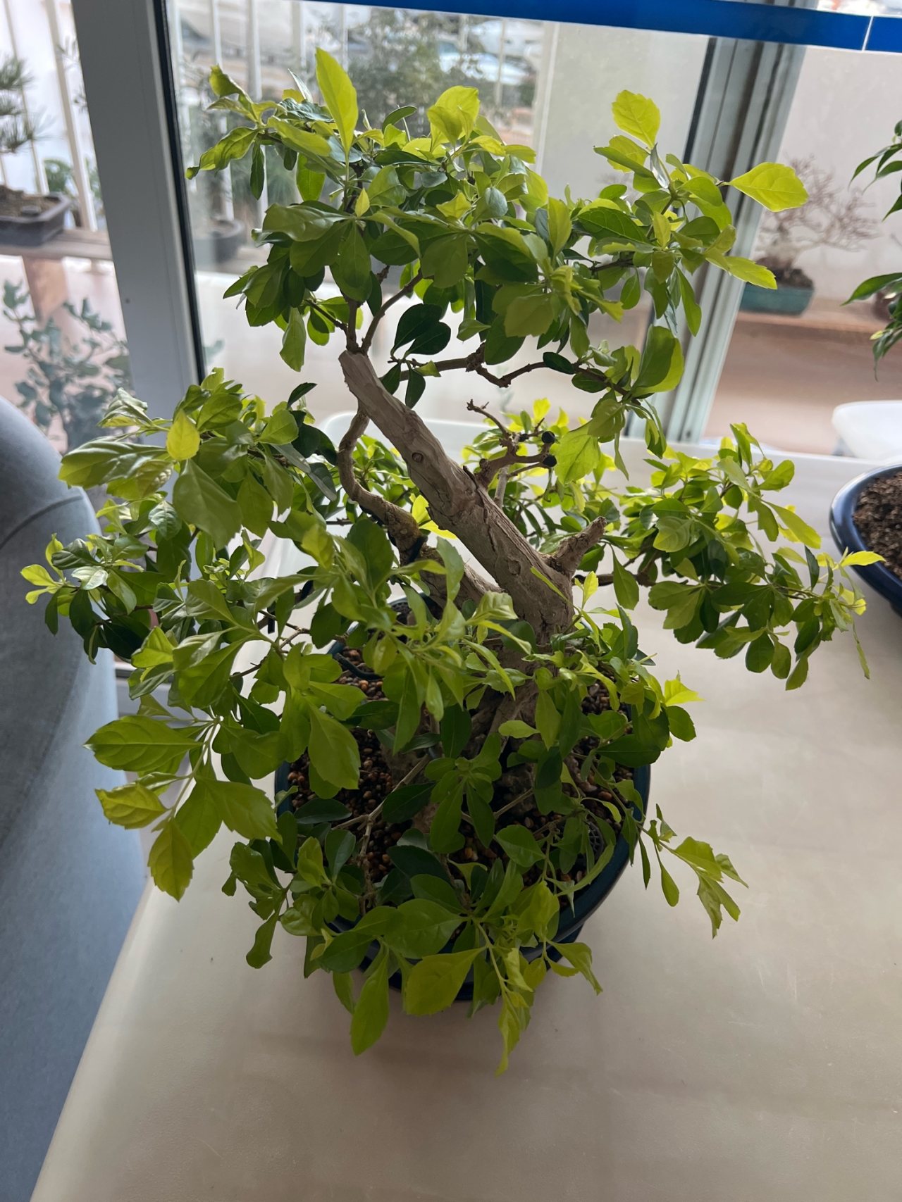 Photo 15