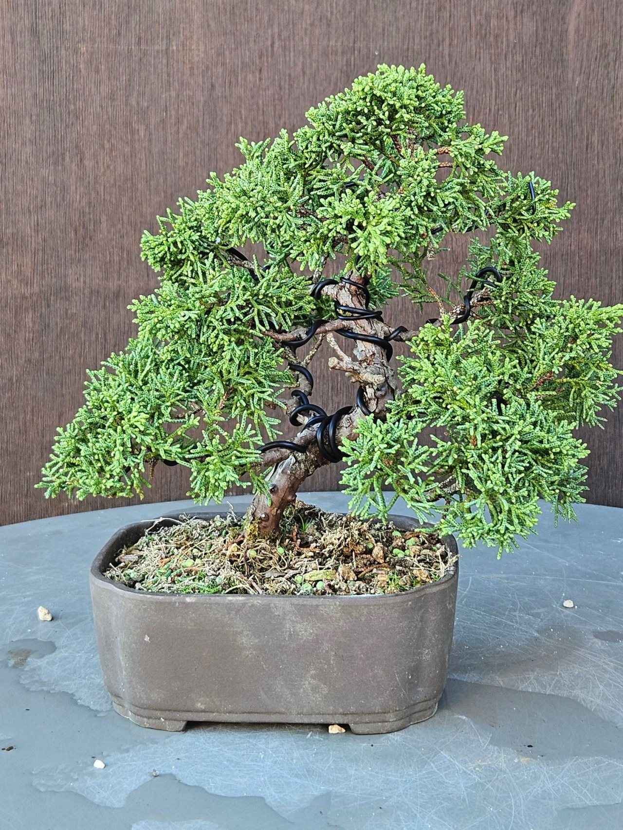 Photo 4