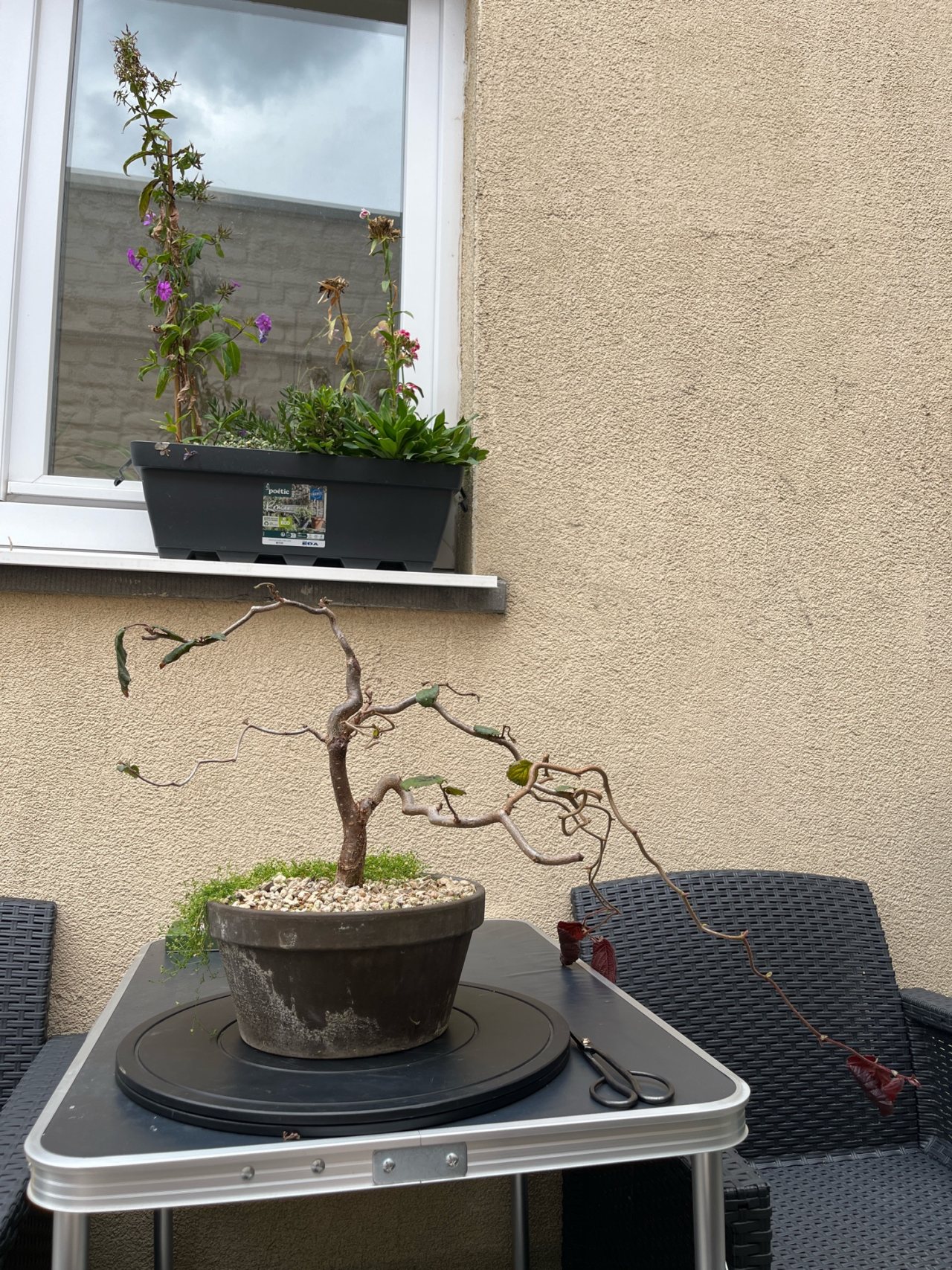 Photo 6