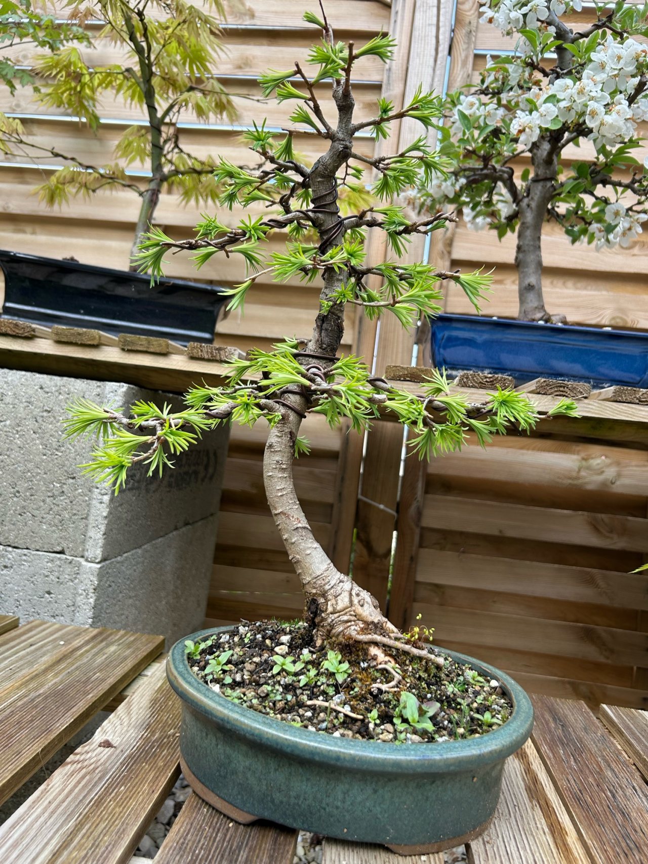Photo 4