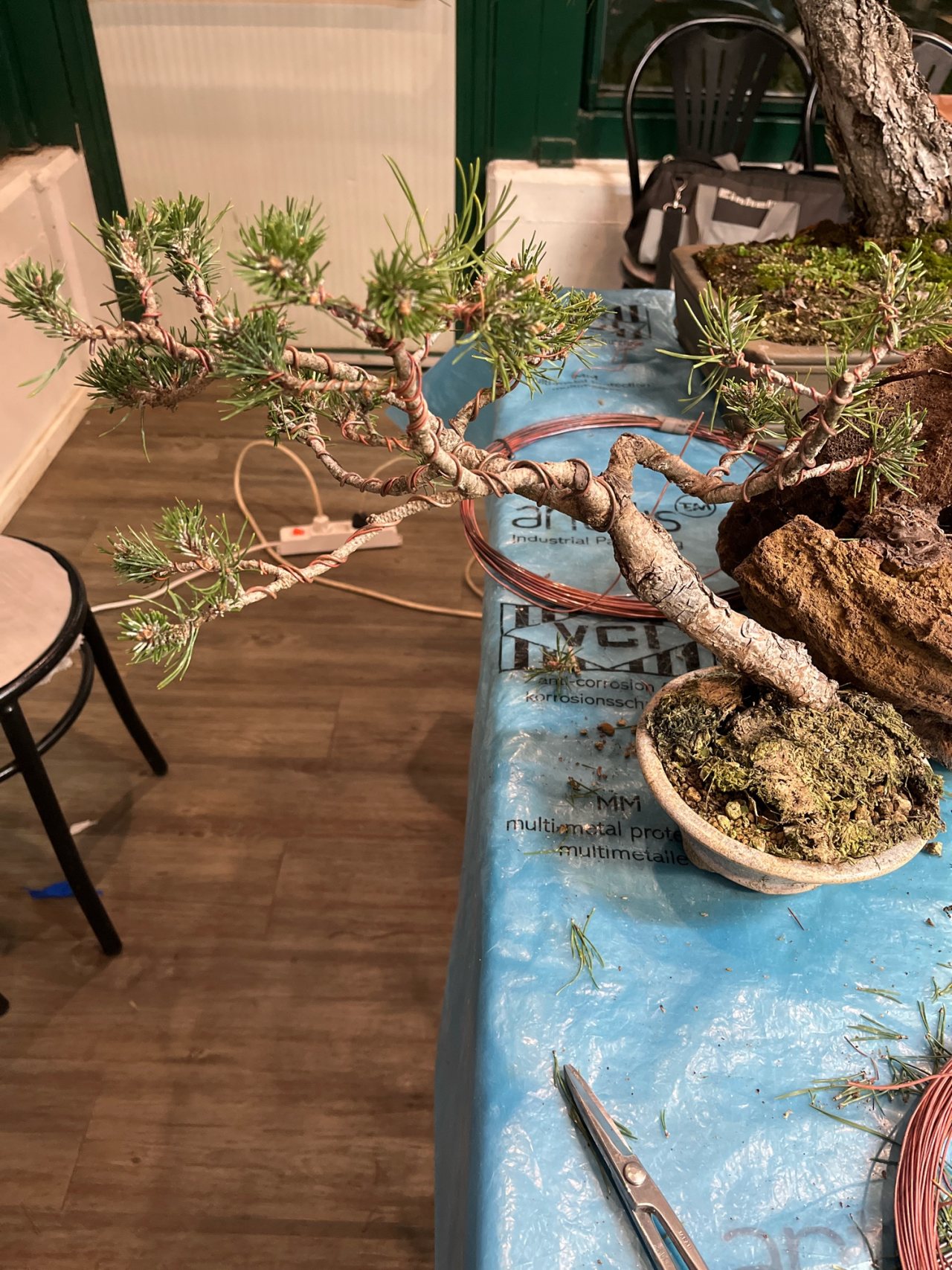 Photo 9