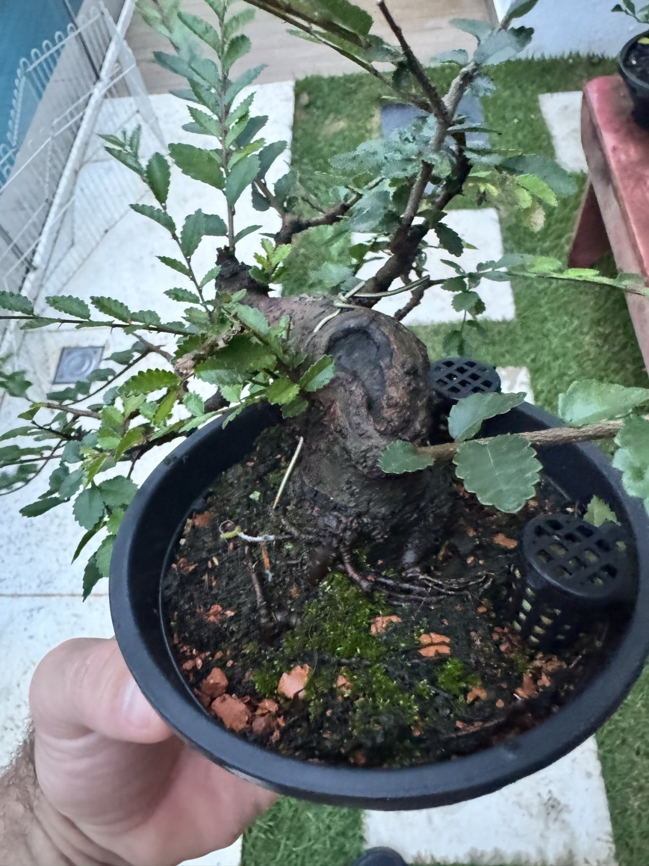 Photo 25
