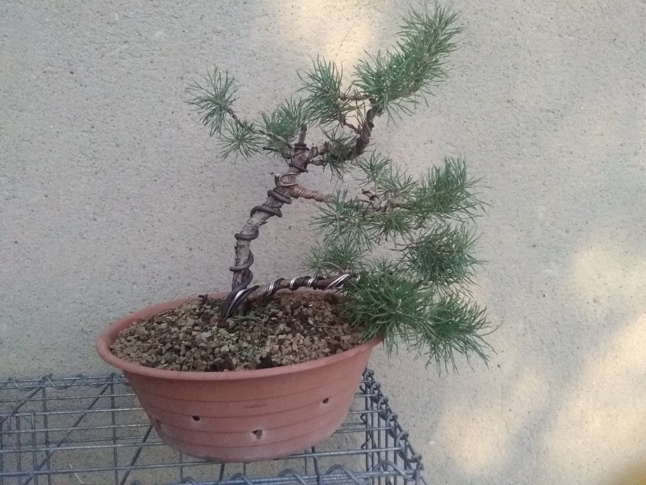 Photo 4