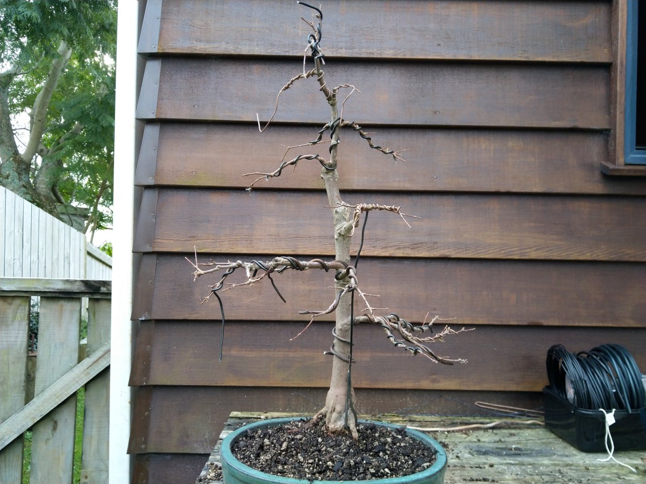 Photo 9