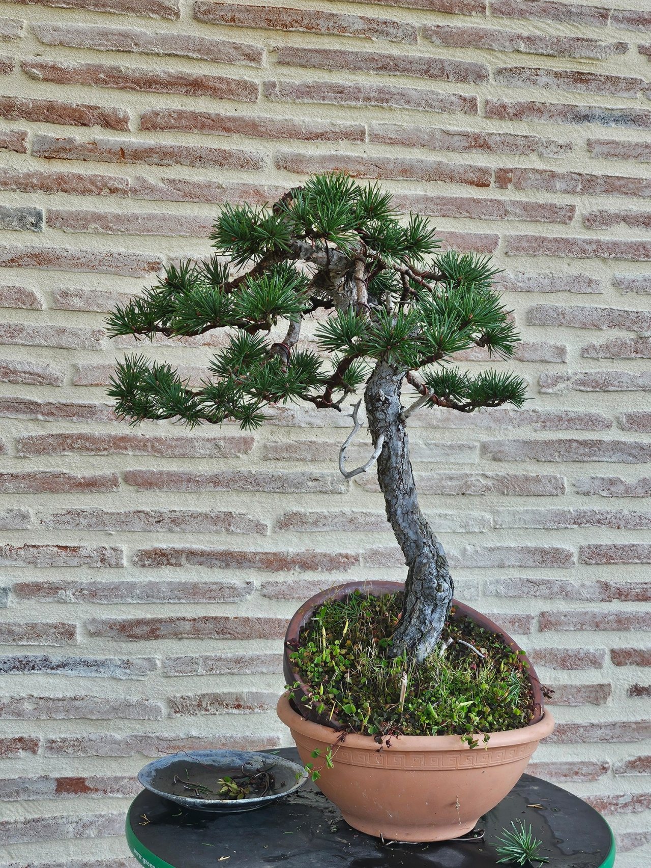 Photo 12