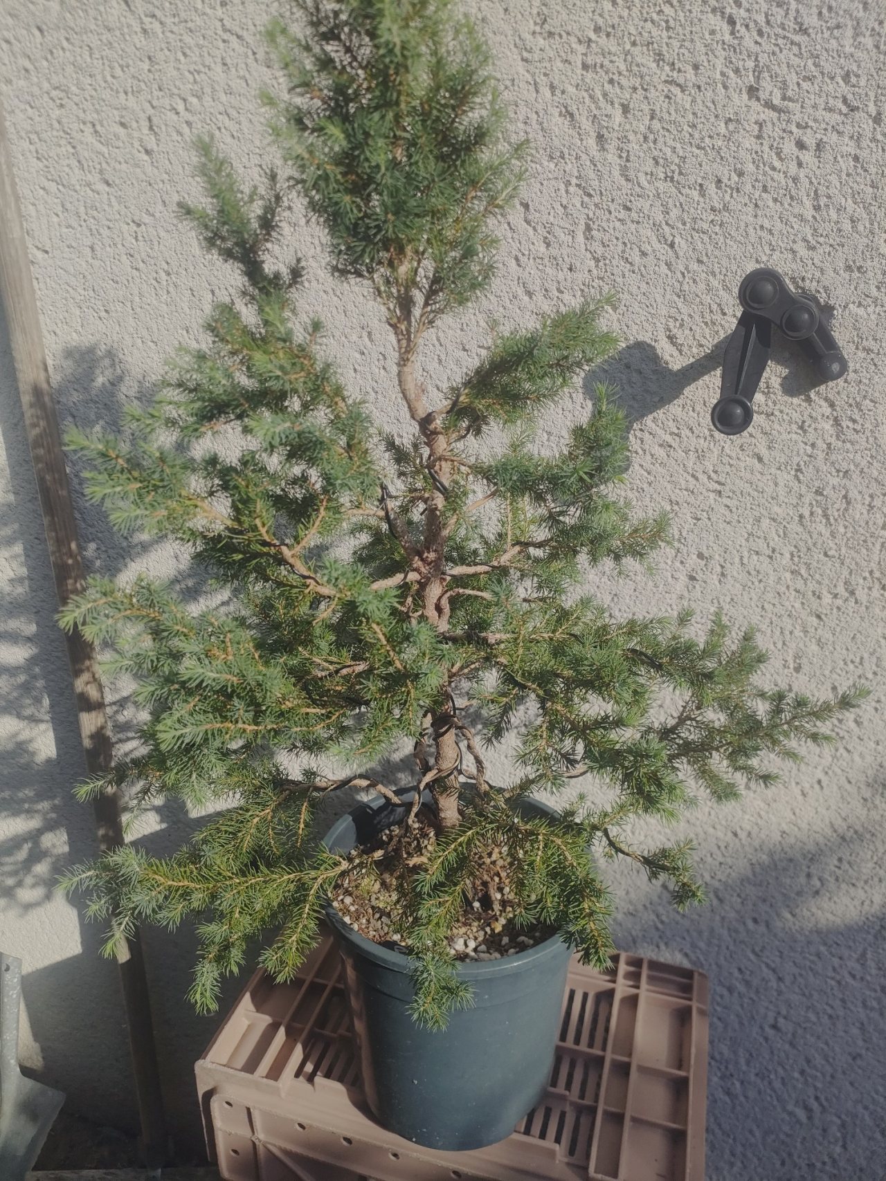 Photo 25