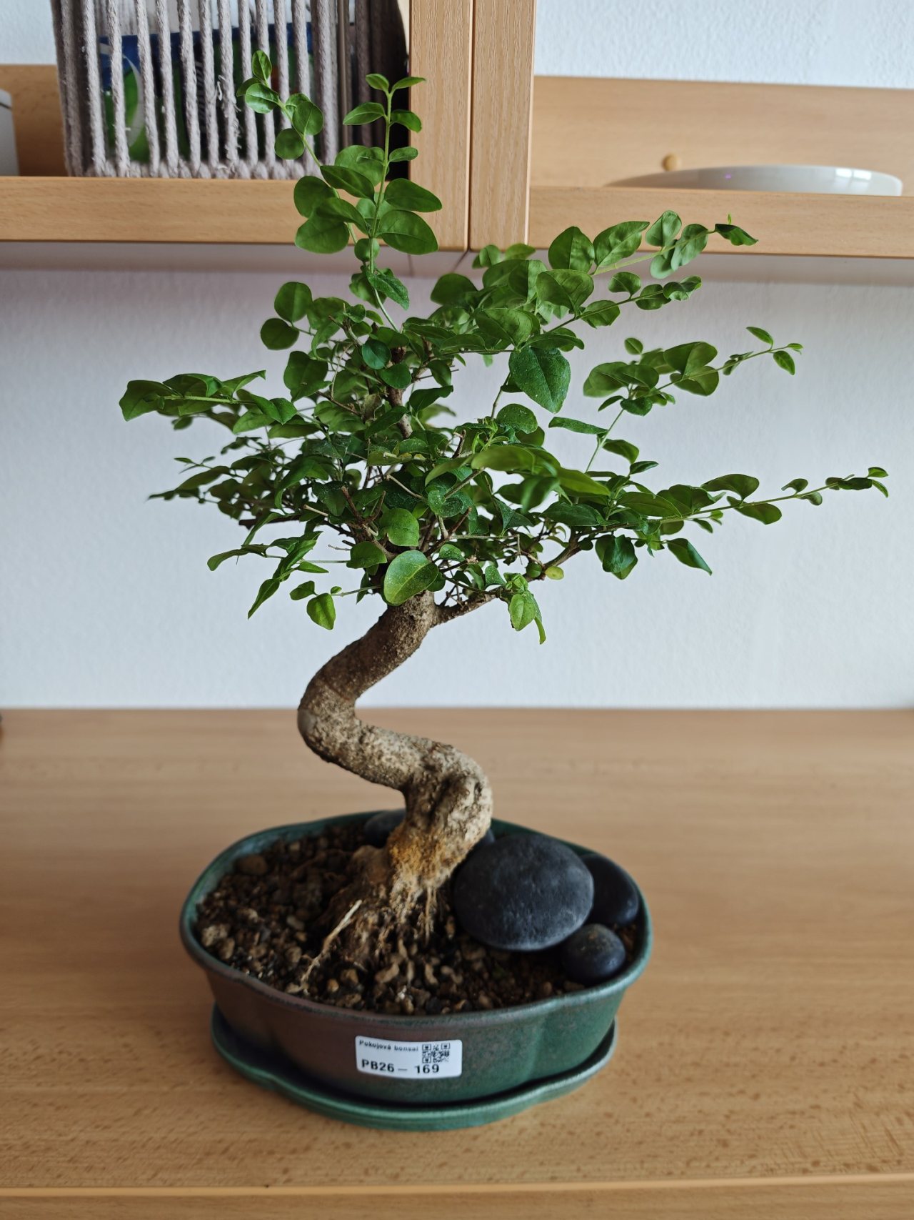 Photo 16