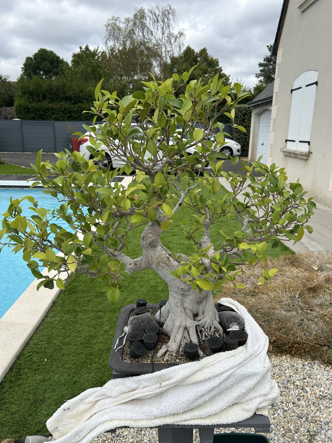 Photo 13