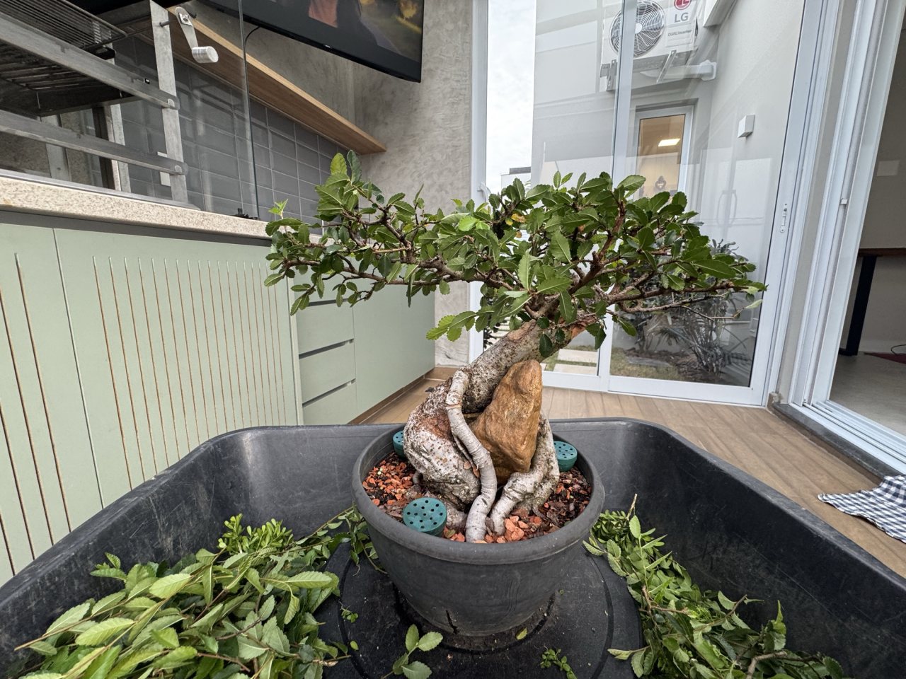 Photo 21