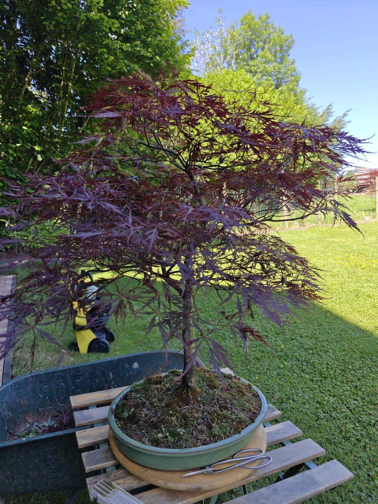 Photo 9