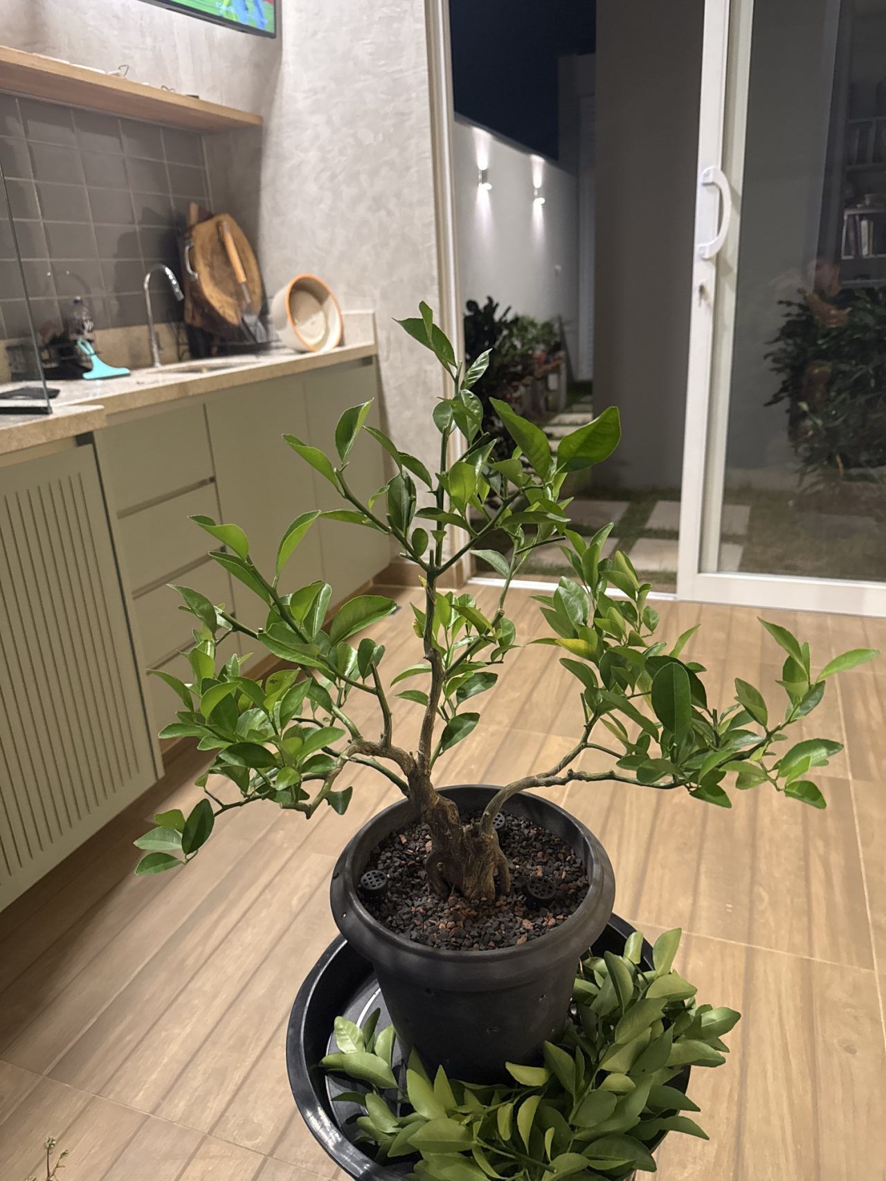 Photo 16