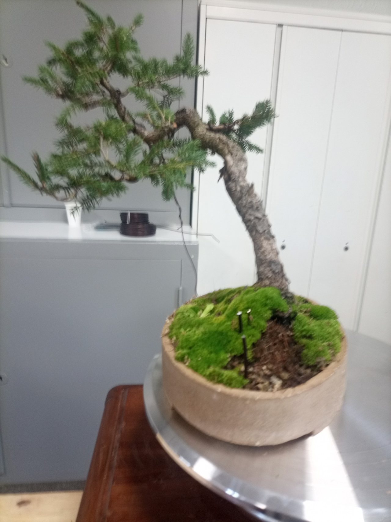 Photo 5