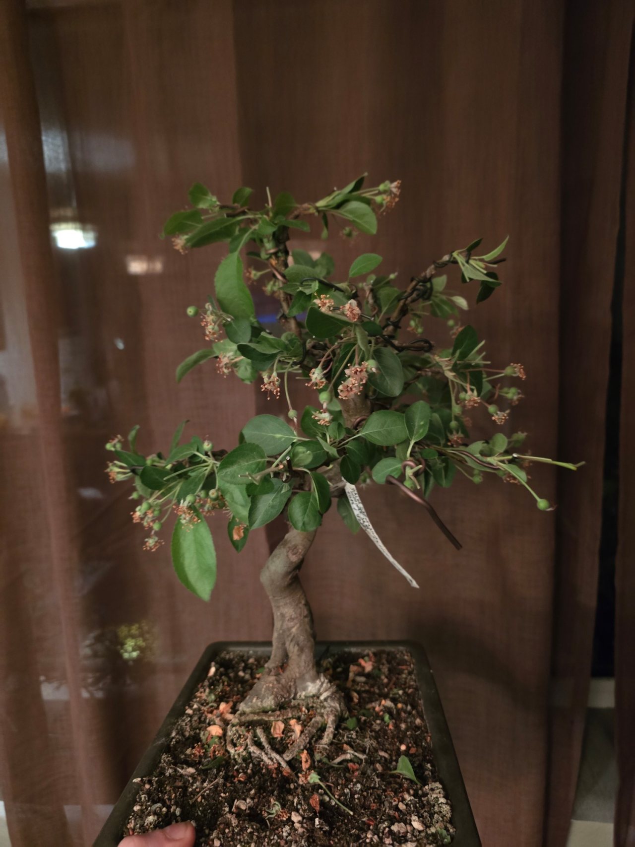 Photo 22