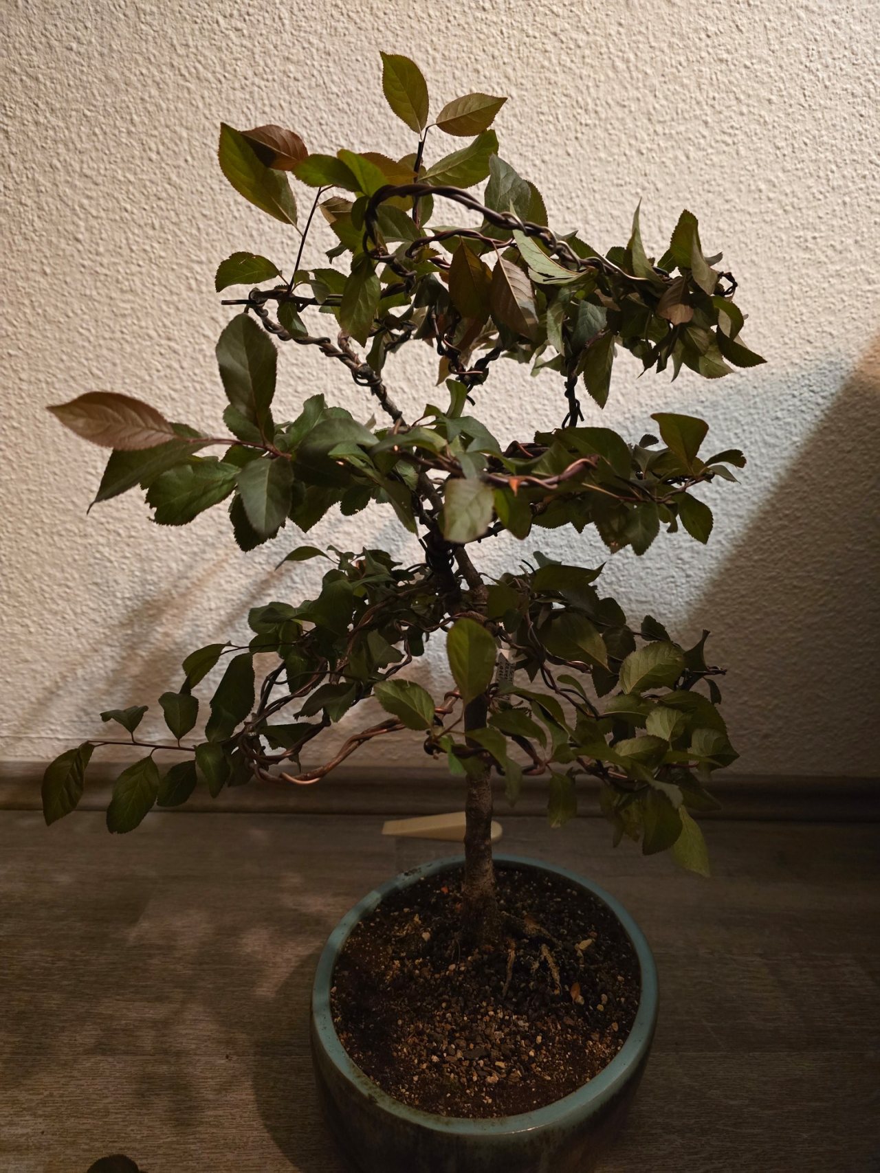 Photo 21