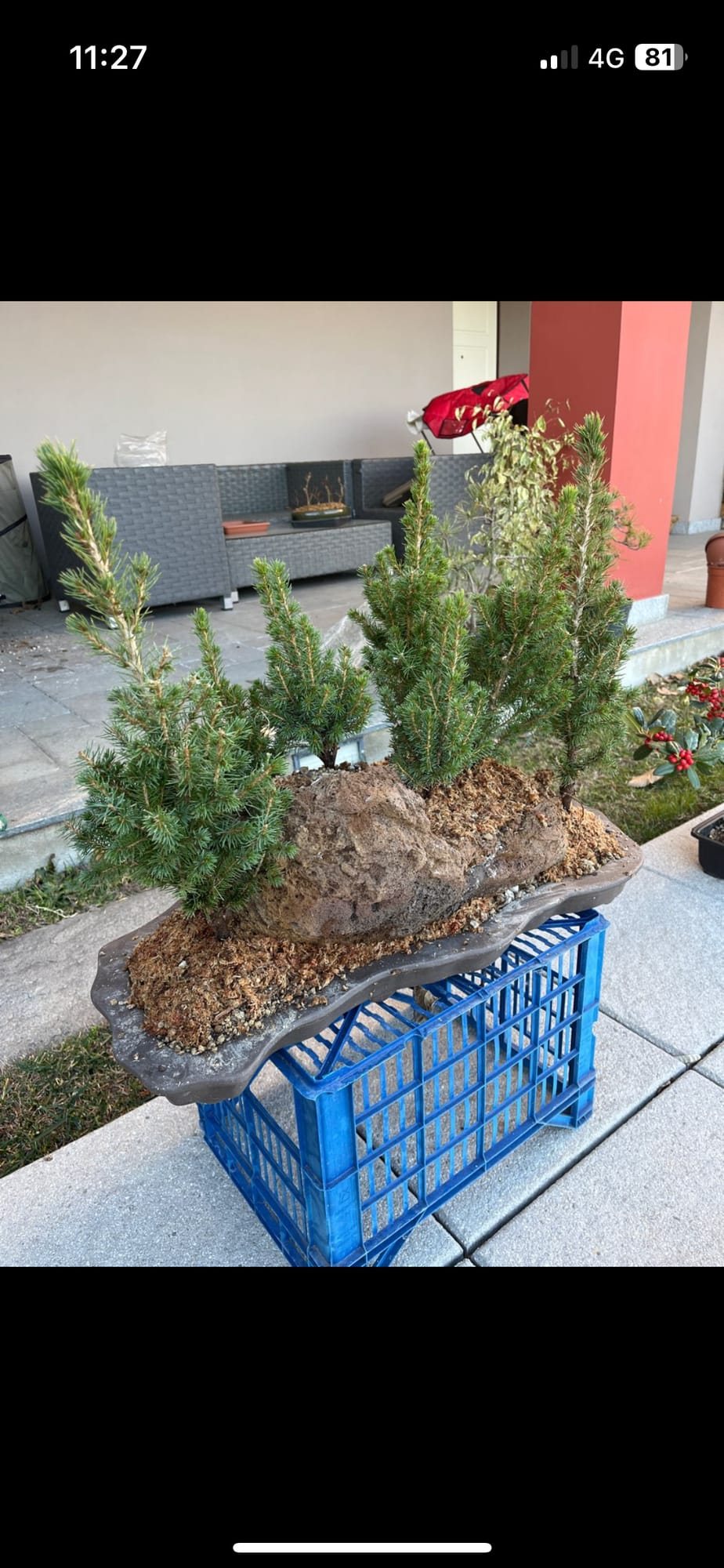 Photo 12