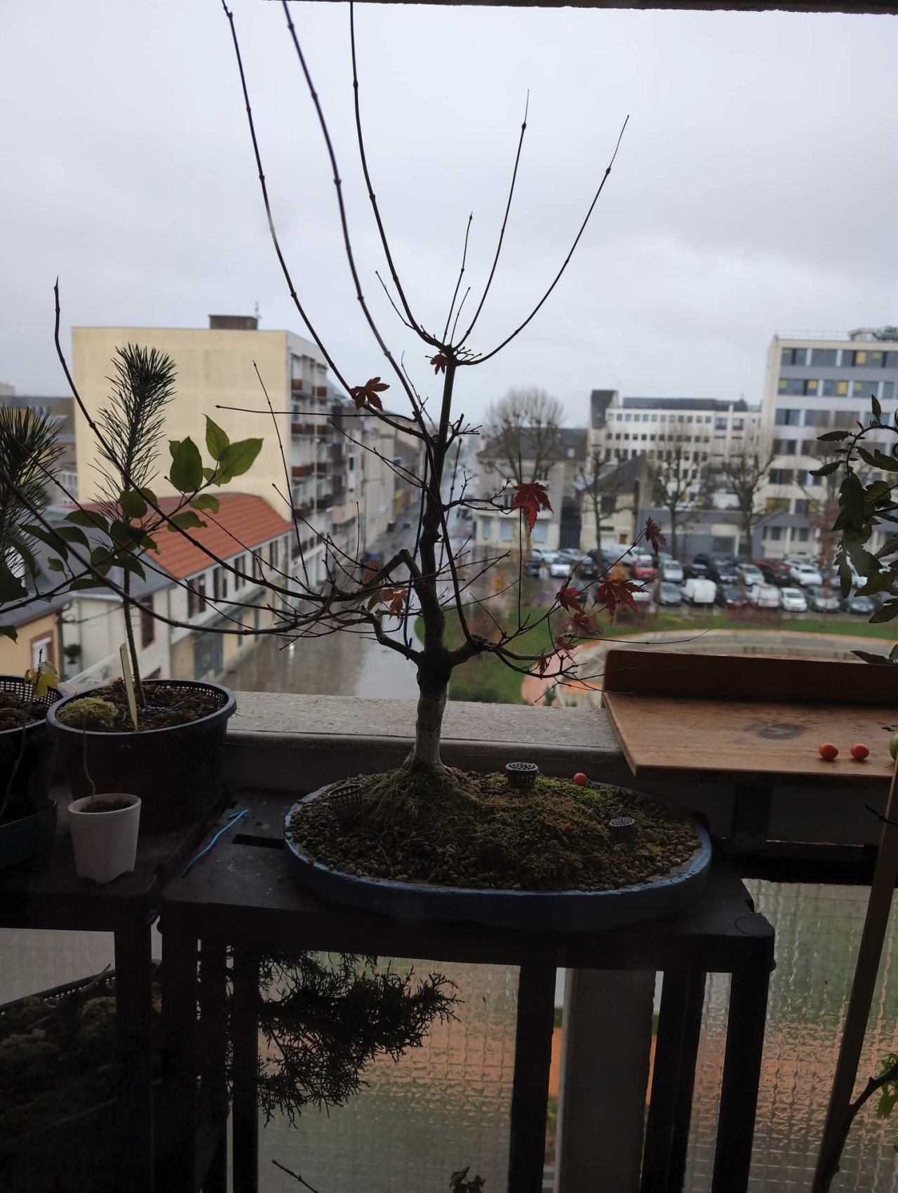 Photo 25