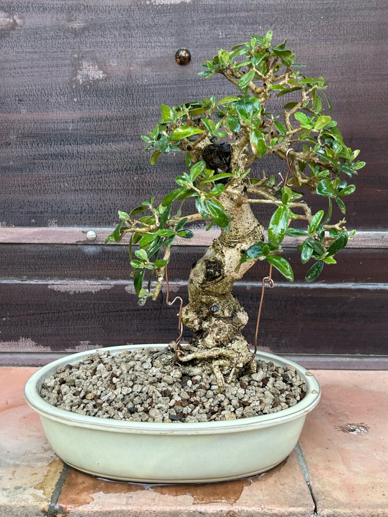 Photo 4