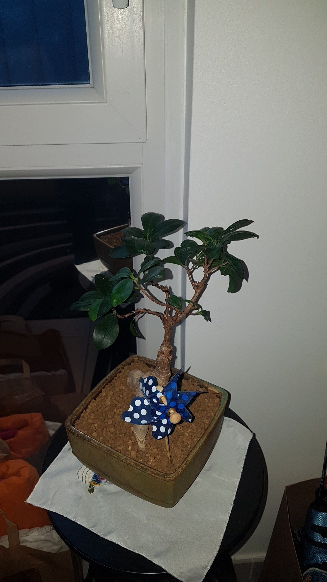 Photo 3
