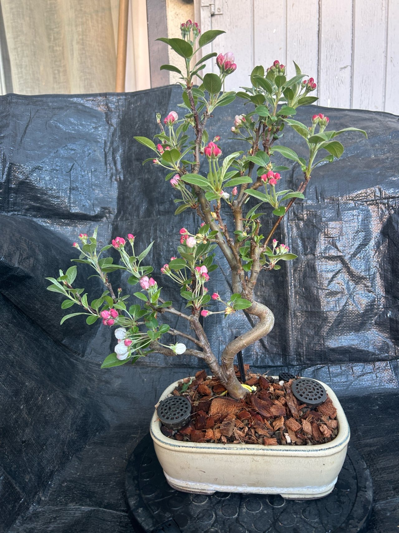 Photo 19