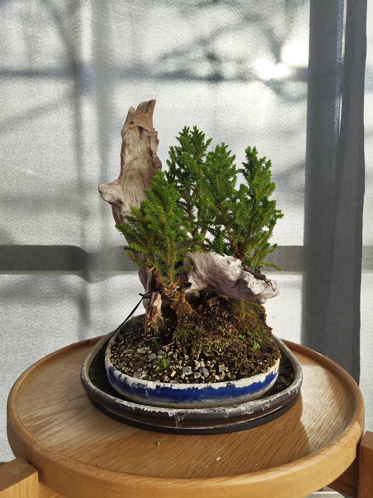 Photo 4