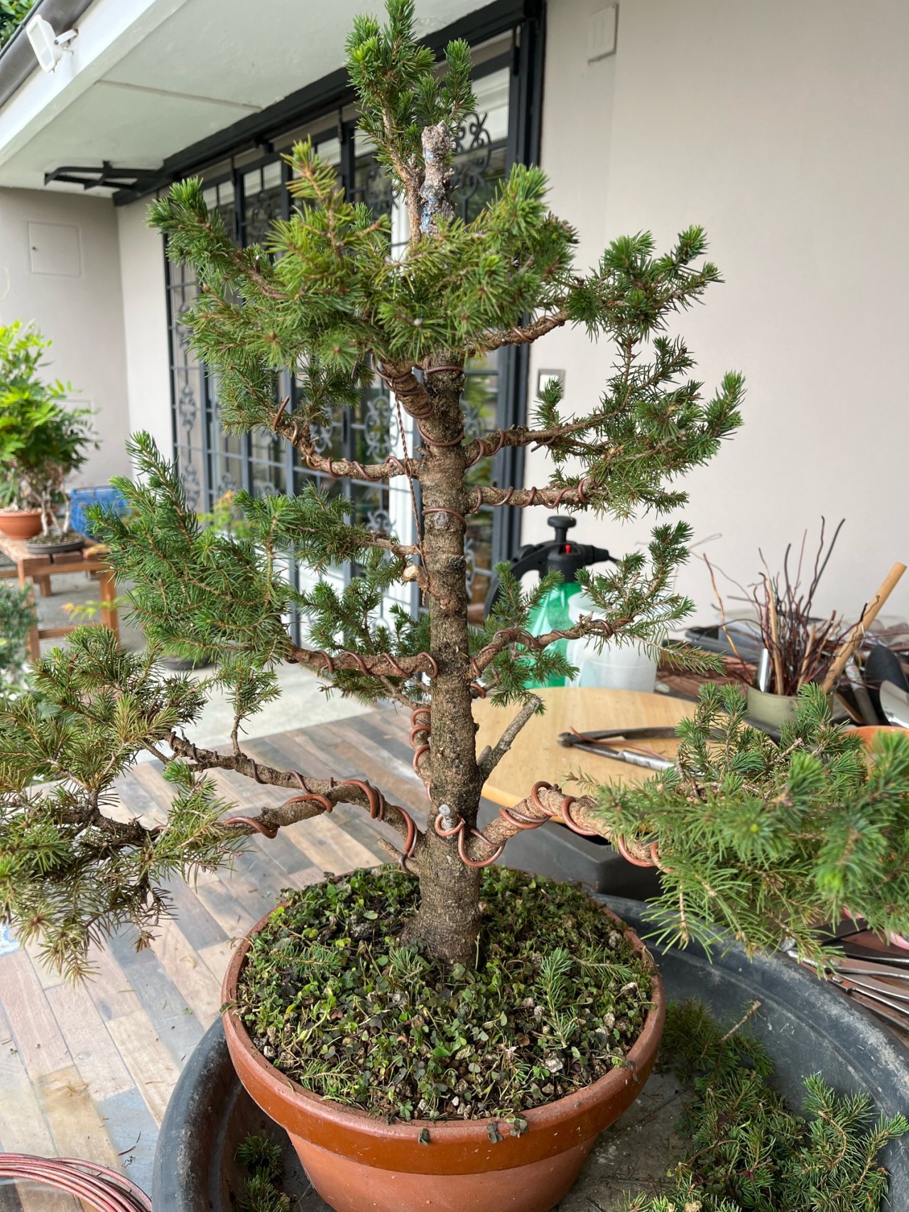 Photo 19