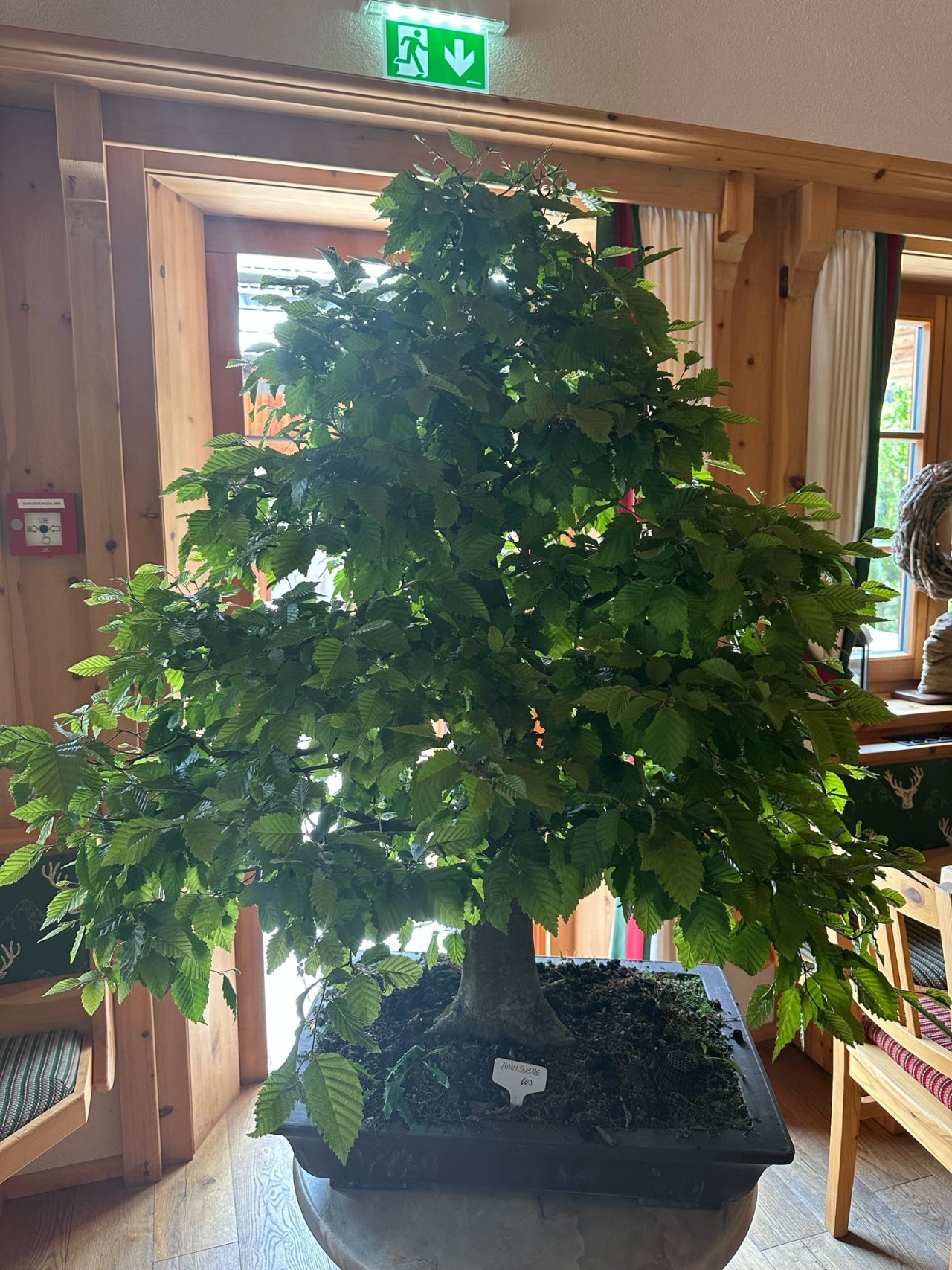 Photo 7