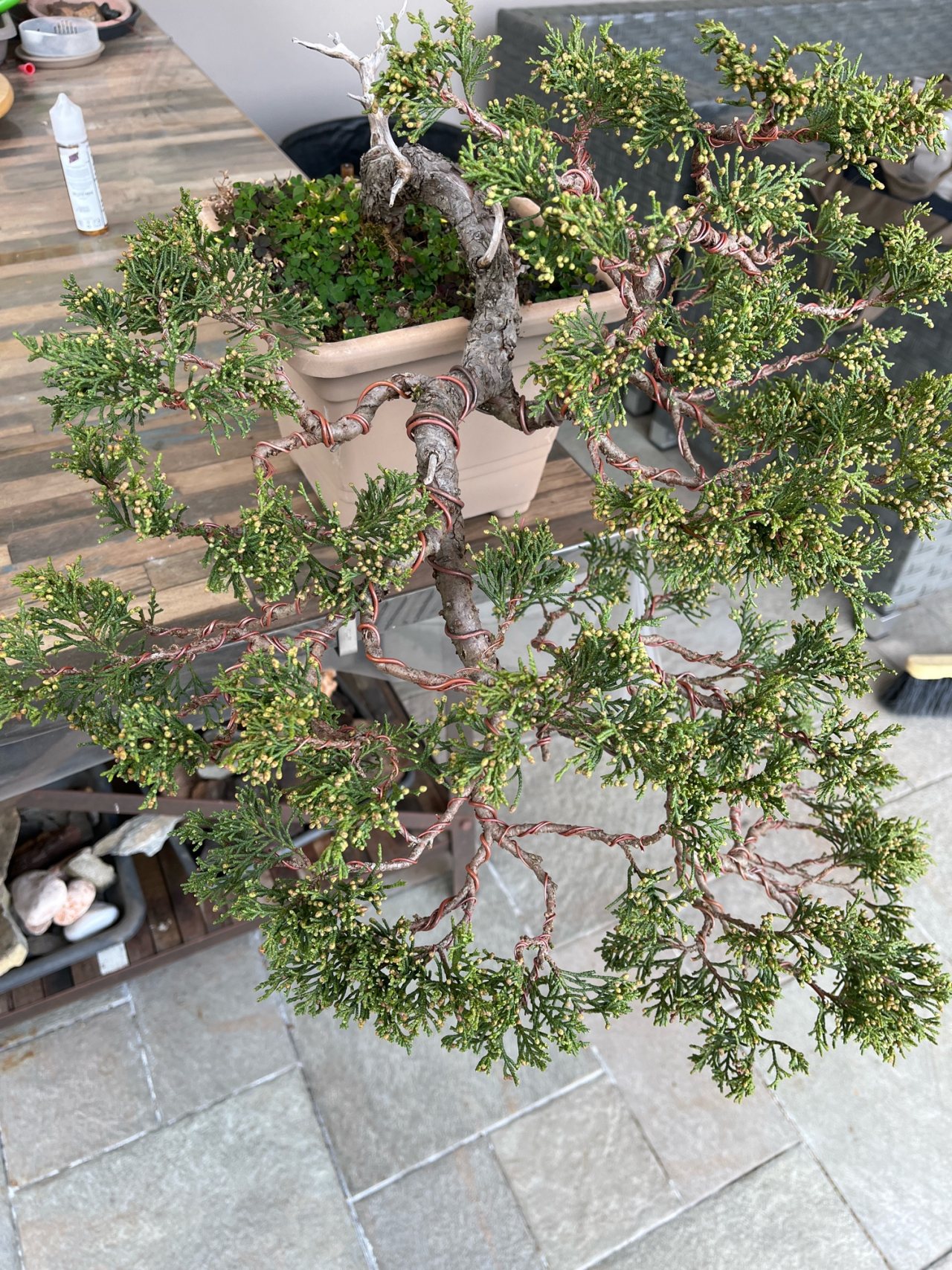Photo 12