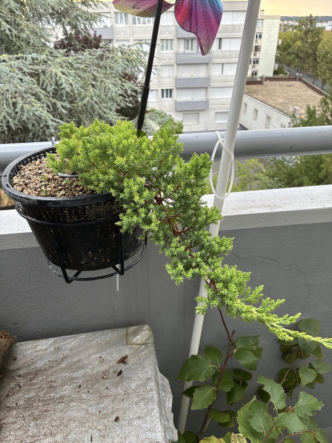 Photo 7