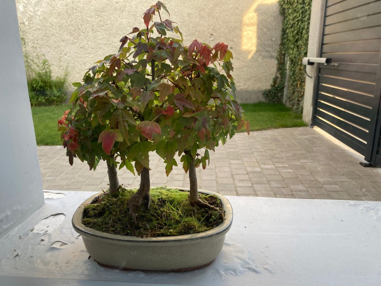 Photo 3