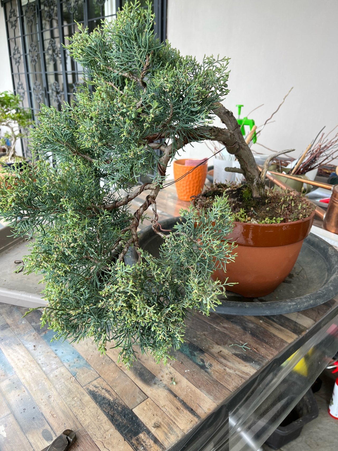 Photo 2