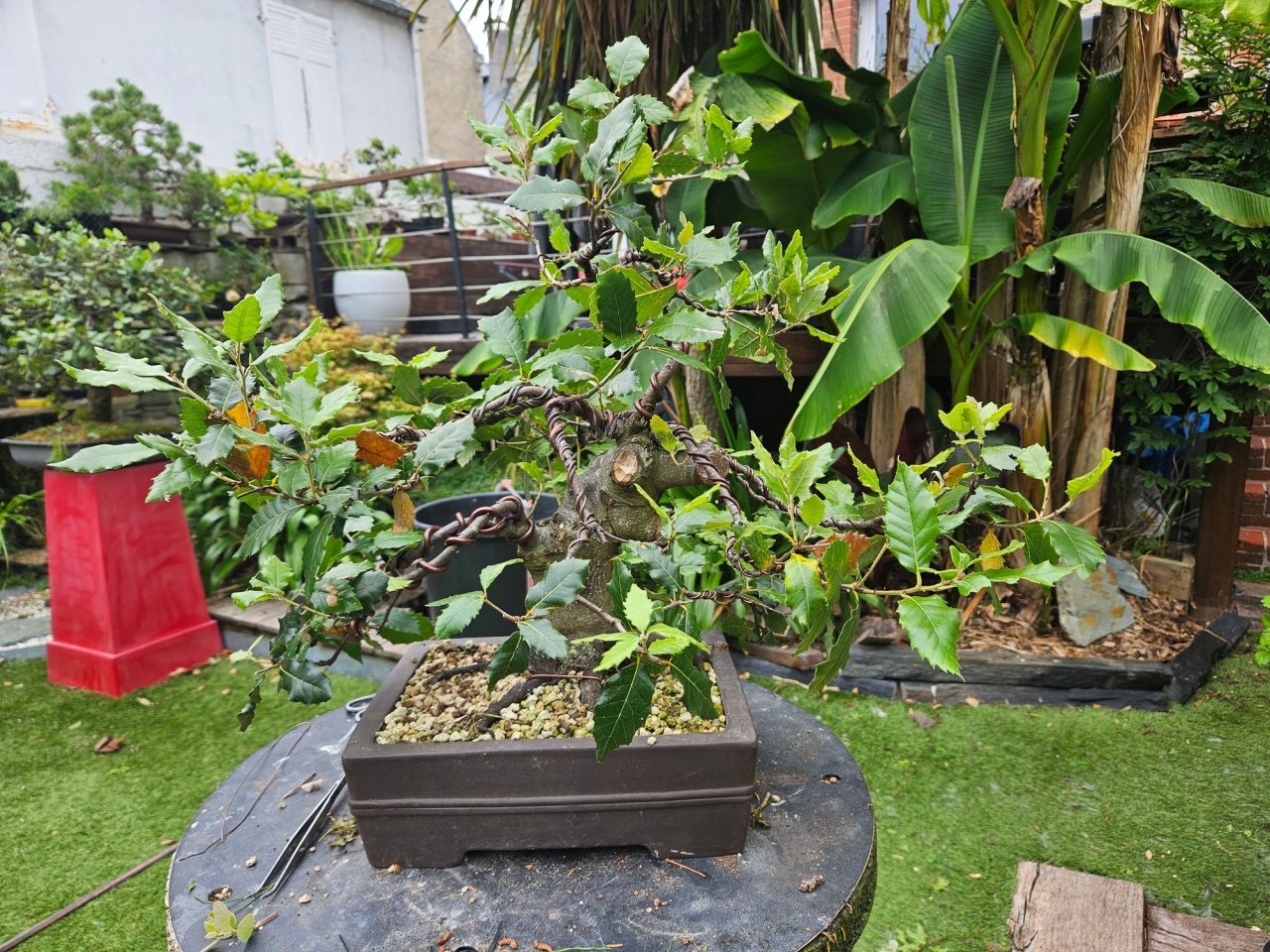 Photo 2